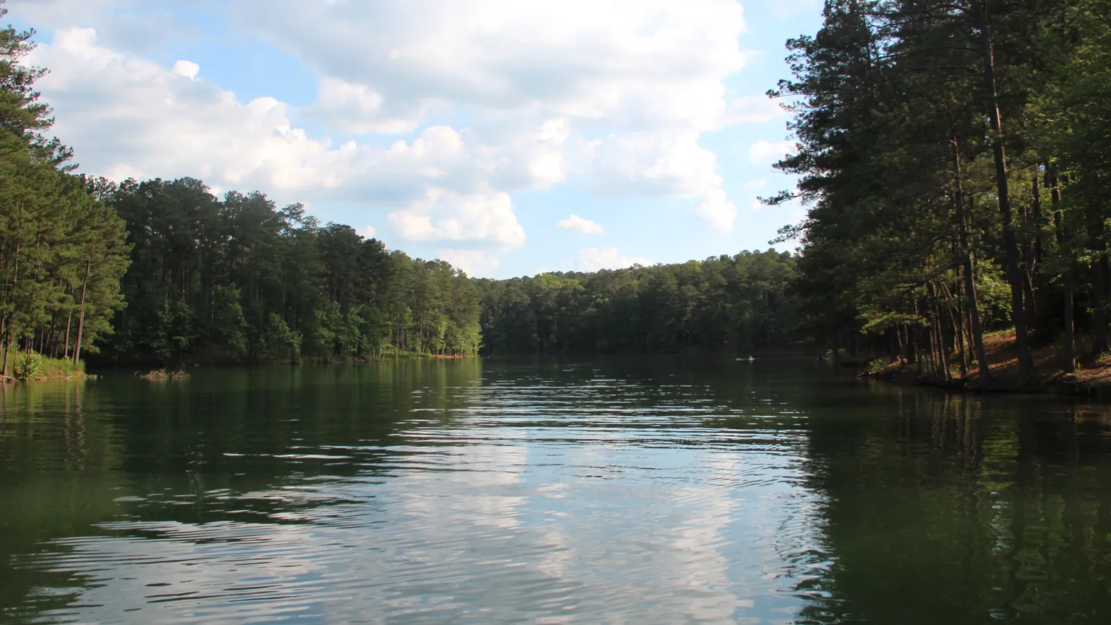 A quiet, tree-lined cove of Lake Allatoona at Red Top Mountain State Park