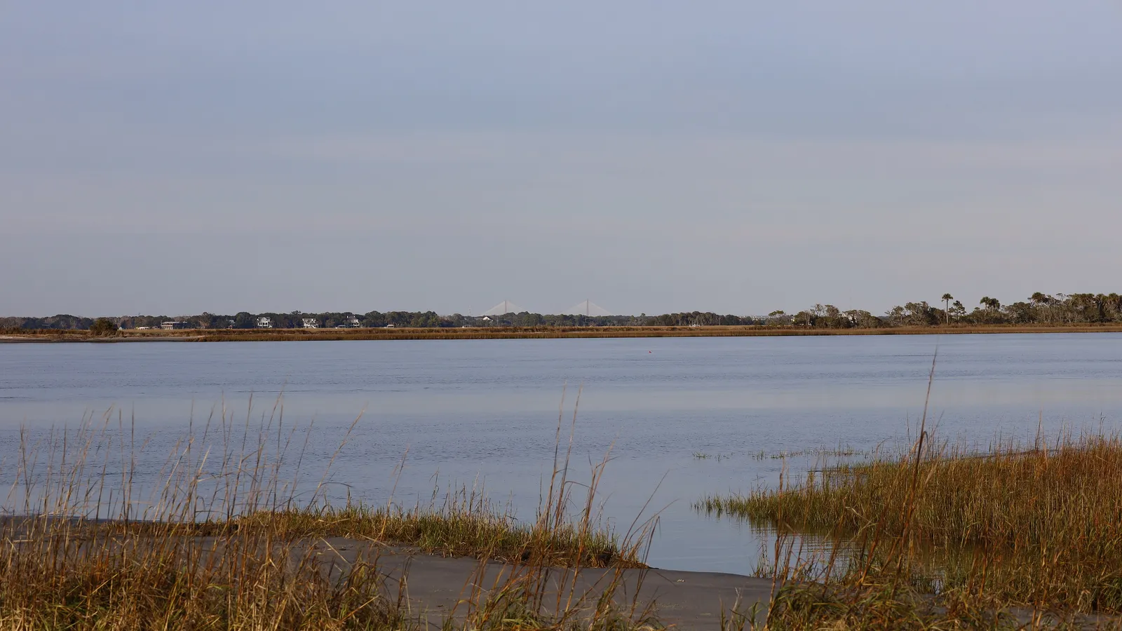 Salt marsh grass and calm tidal water on the back side of Folly Beach
