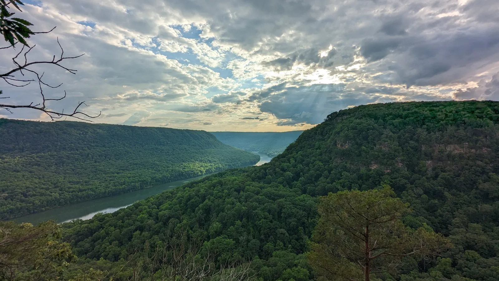 The Tennessee River winding through the forested Tennessee River Gorge, seen from above