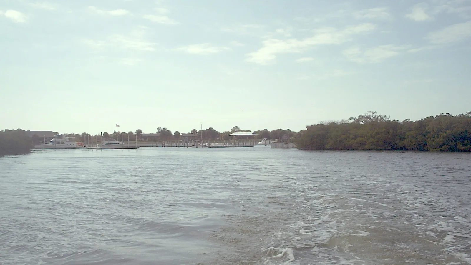 Mangroves and the marina at Caladesi Island State Park, seen from the water