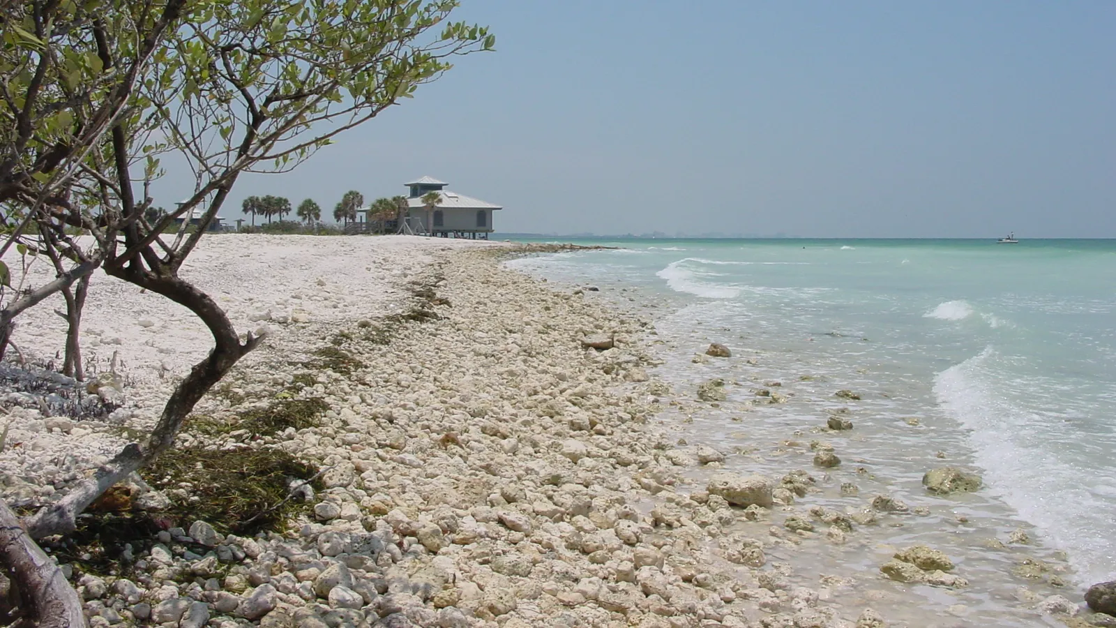 A shell beach and clear Gulf water at Honeymoon Island State Park