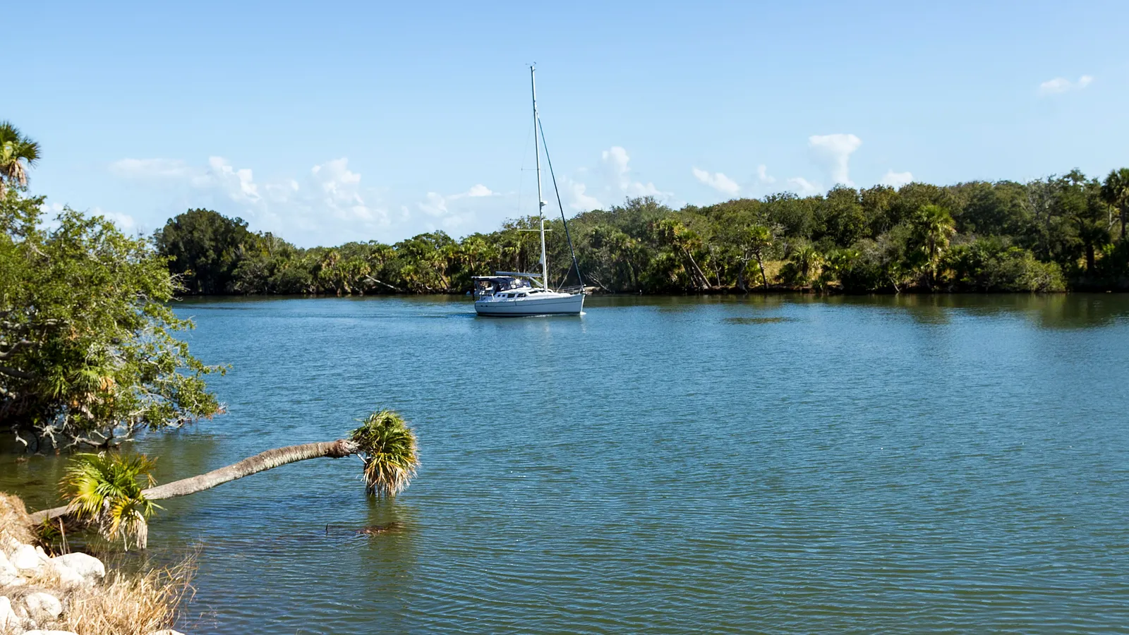 A sailboat on the calm, tree-lined Haulover Canal on Merritt Island