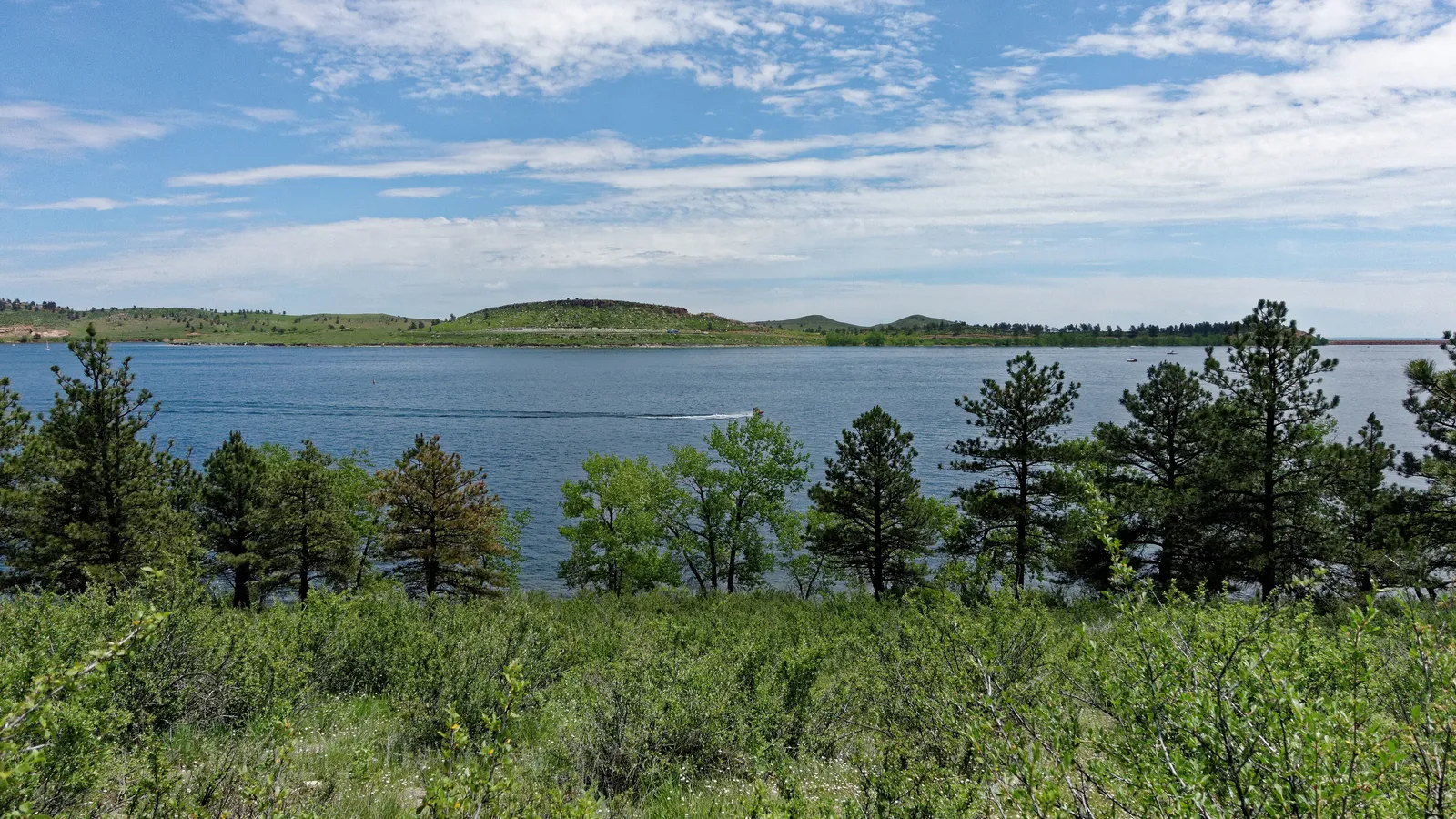 Carter Lake seen through ponderosa pines in the foothills southwest of Loveland