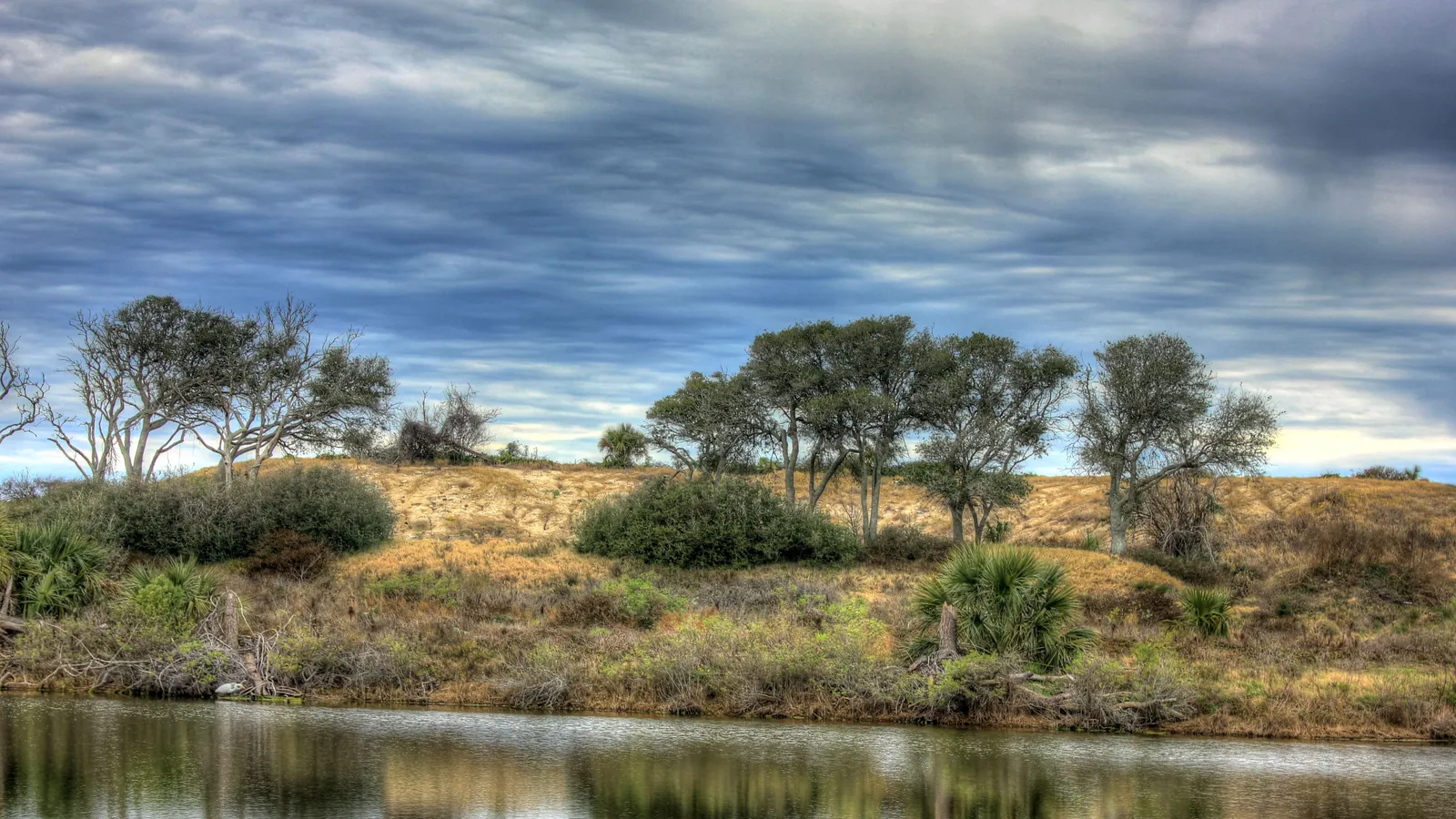 Trees and dune grass above a calm pond on the bay side of Galveston Island State Park