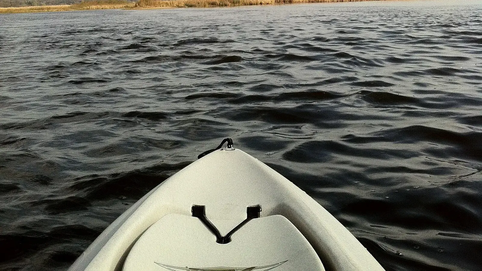 The wide, marsh-lined lower Kalamazoo River just downstream from Morrison Bayou