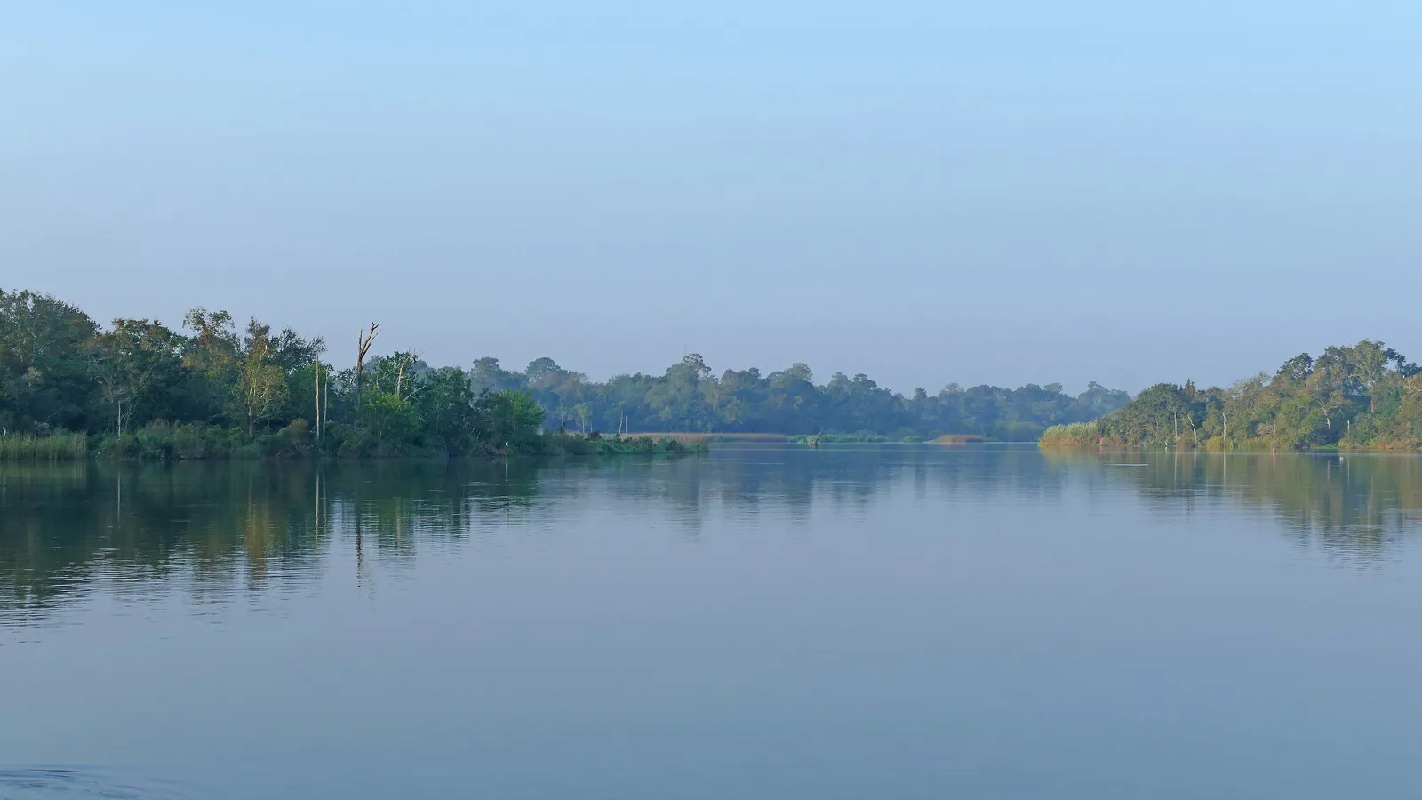 Calm, wide water on Armand Bayou lined with trees
