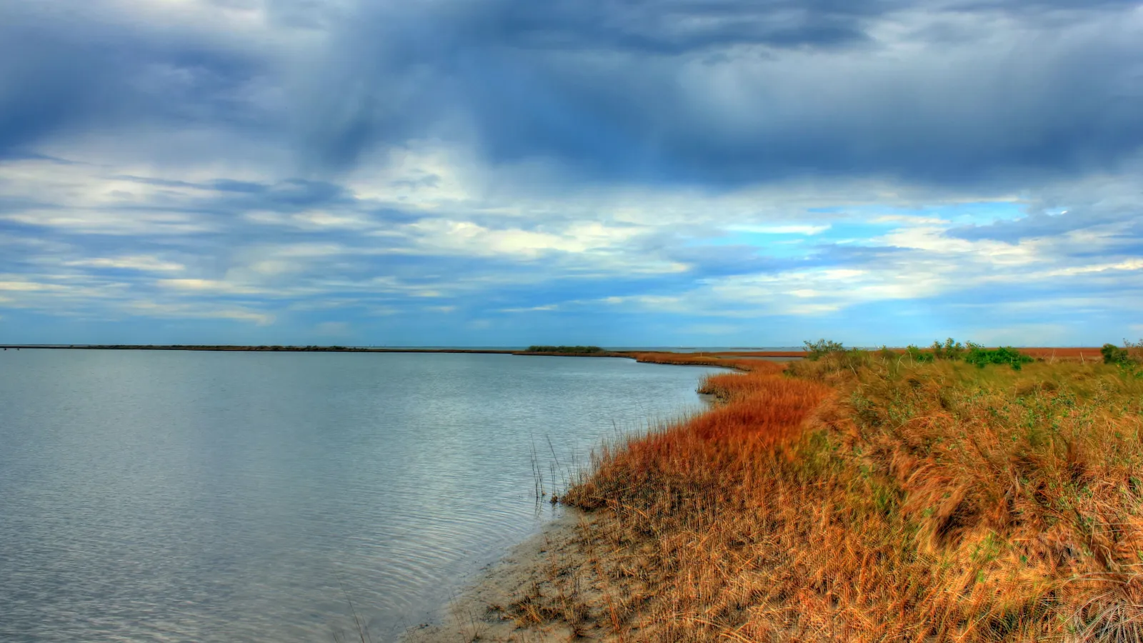 Marsh grass along calm bay water at Galveston Island State Park