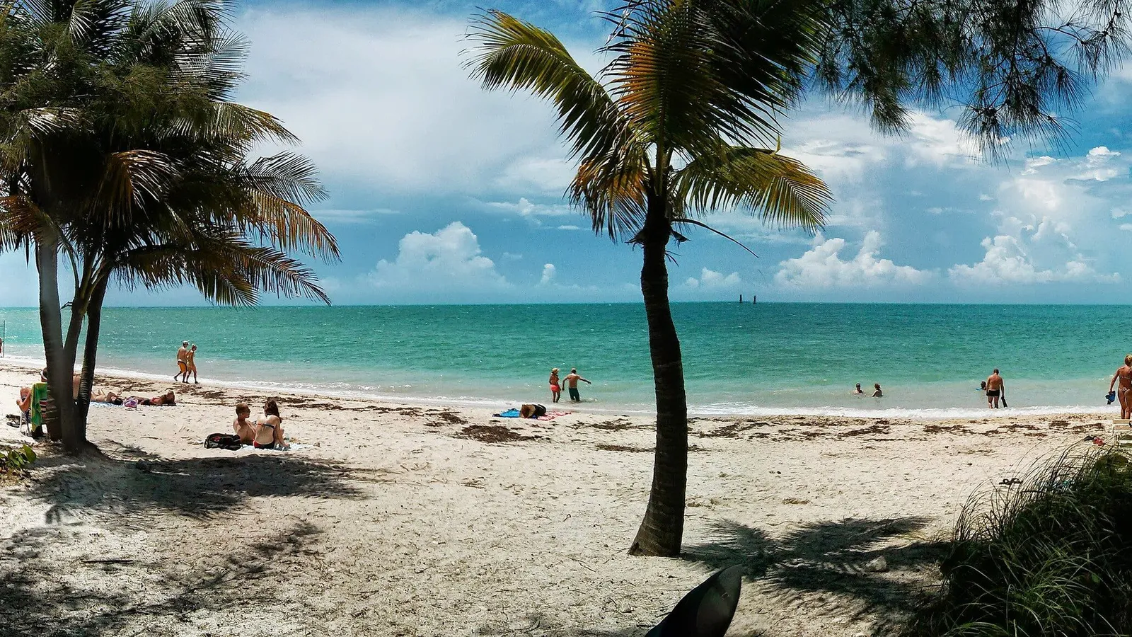 Palm trees and clear turquoise water at the beach in Fort Zachary Taylor Historic State Park