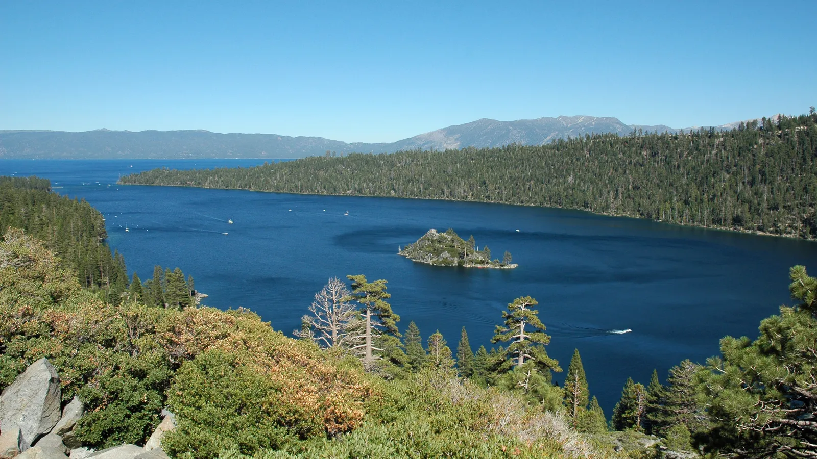 Emerald Bay and Fannette Island seen from the forested hillside above