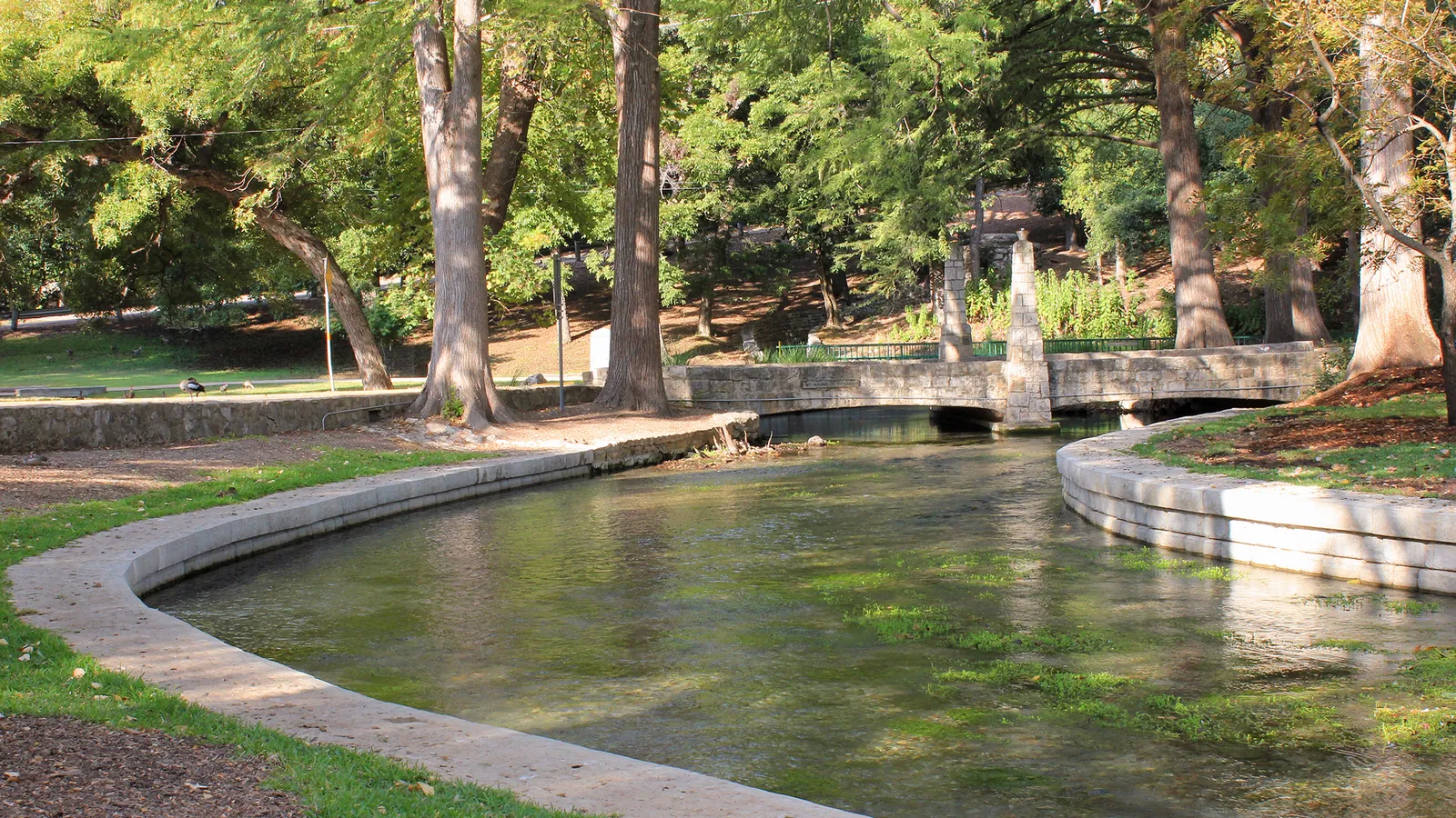 The clear, spring-fed Comal River curving through Landa Park under big shade trees