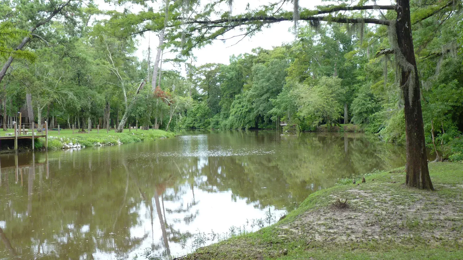 The tree-lined Bogue Falaya River near Covington