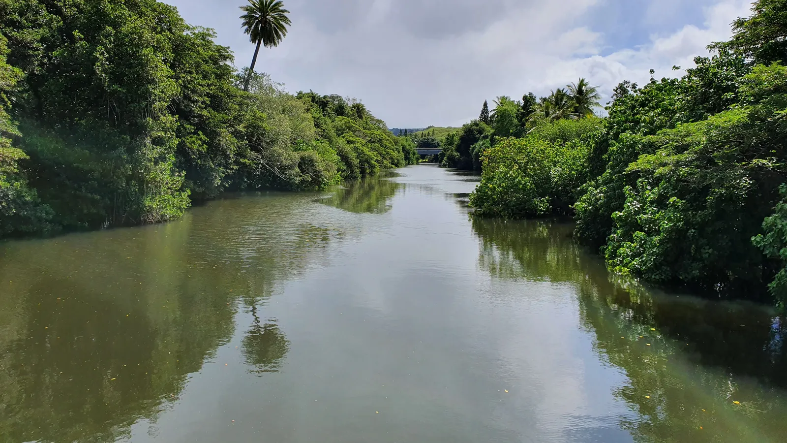 The calm, tree-lined Anahulu River in Haleiwa