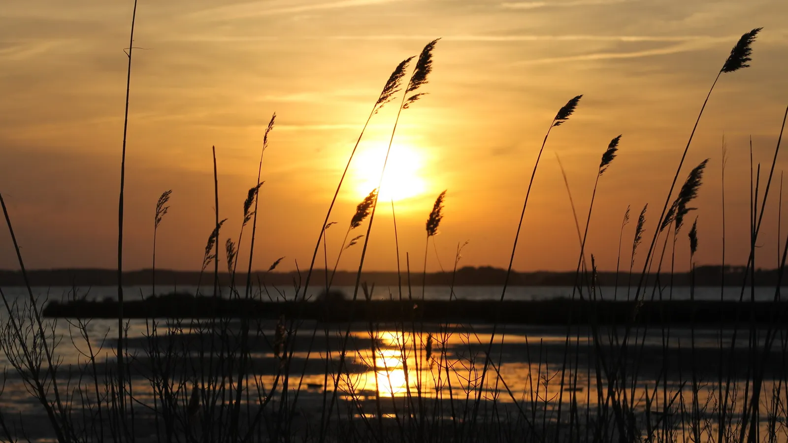 Sunset over Assawoman Bay through marsh grass at Northside Park