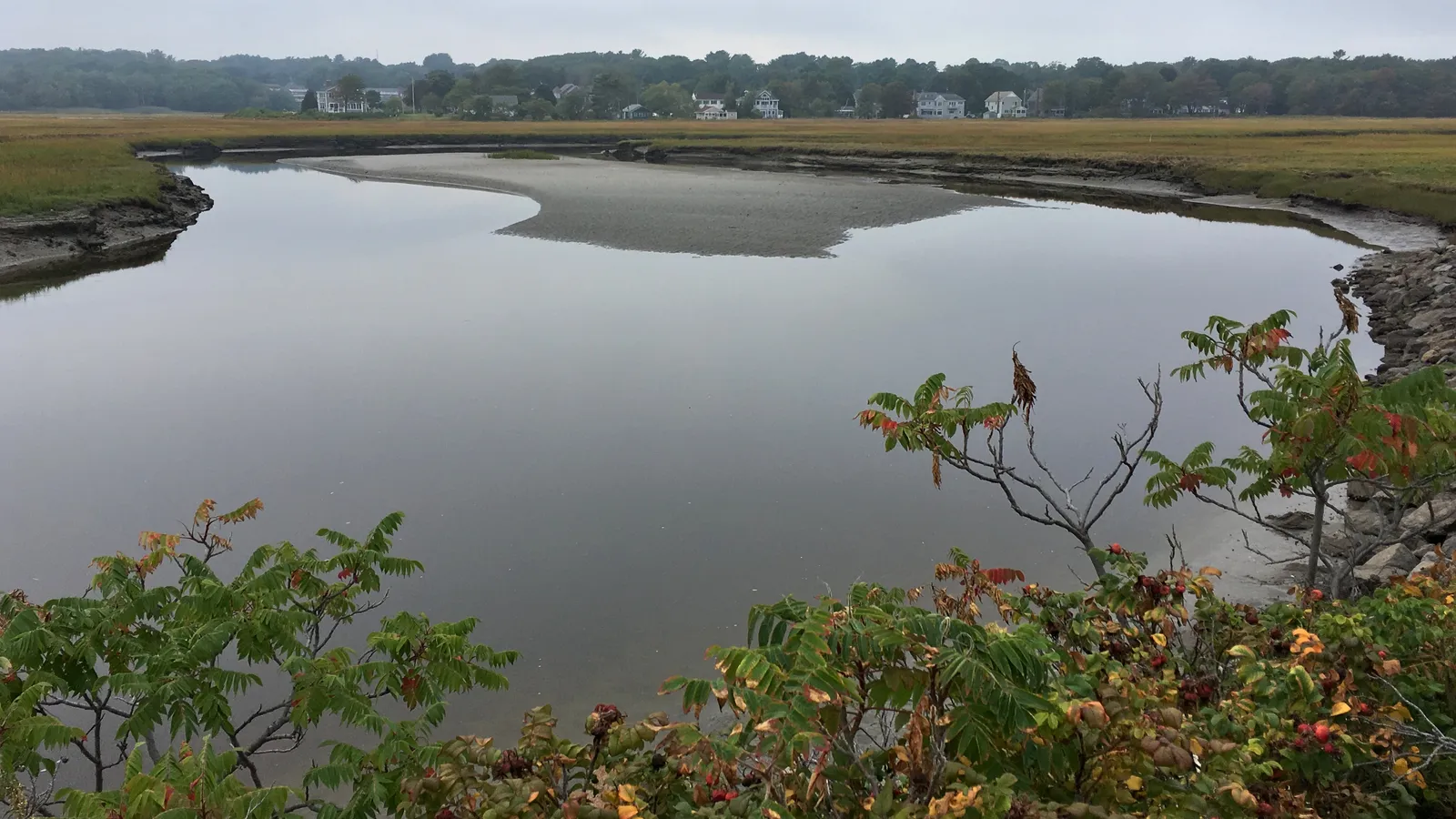 The Ogunquit River winding through salt marsh behind Ogunquit Beach