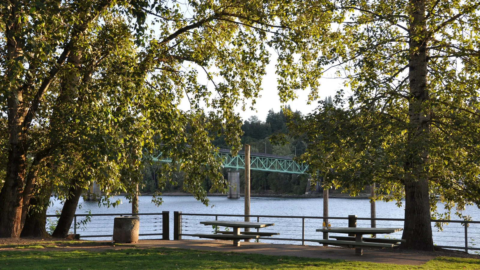 Trees and picnic tables at Sellwood Riverfront Park, with the Sellwood Bridge over the Willamette behind