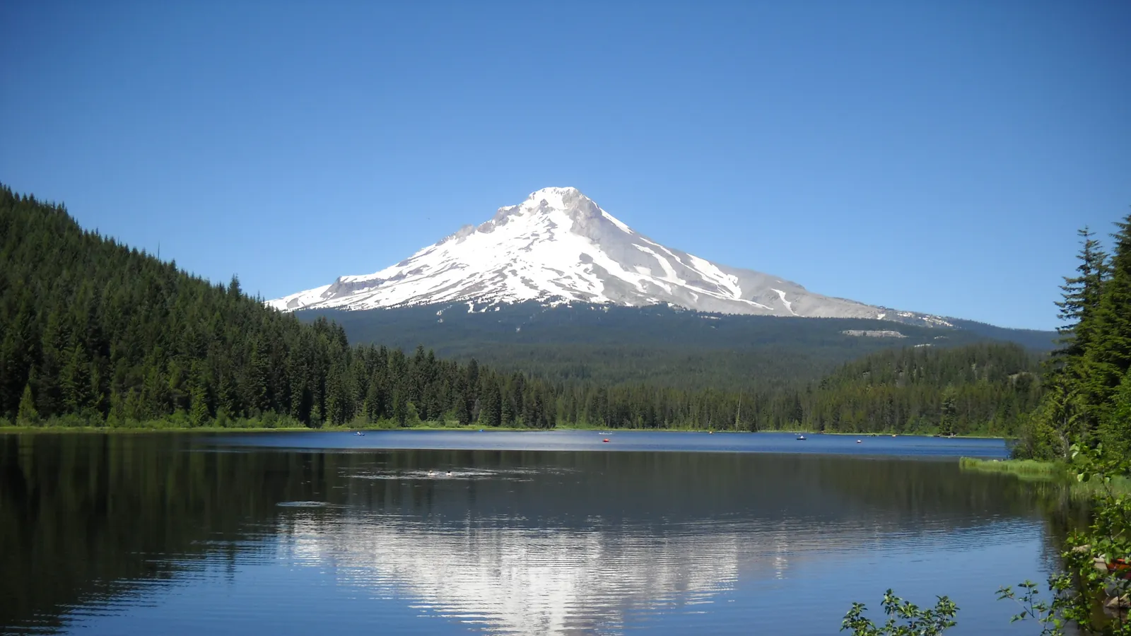 Mount Hood reflected in the still water of Trillium Lake, framed by forest