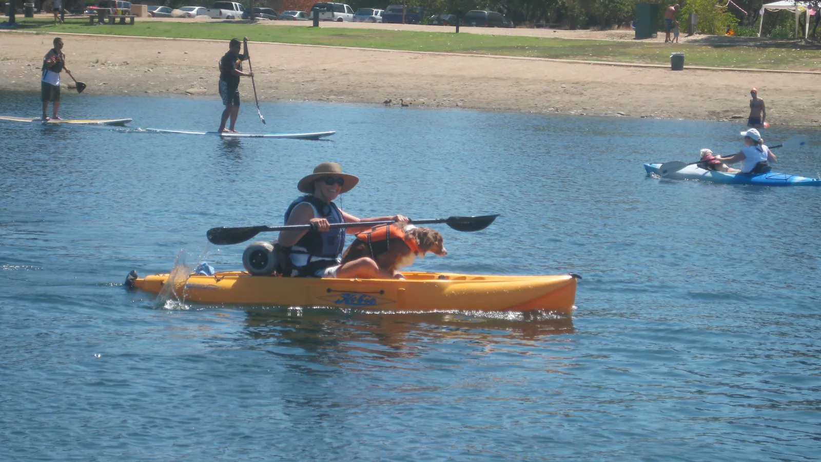 Paddle boarders and kayakers on Lake Natoma near a sandy beach