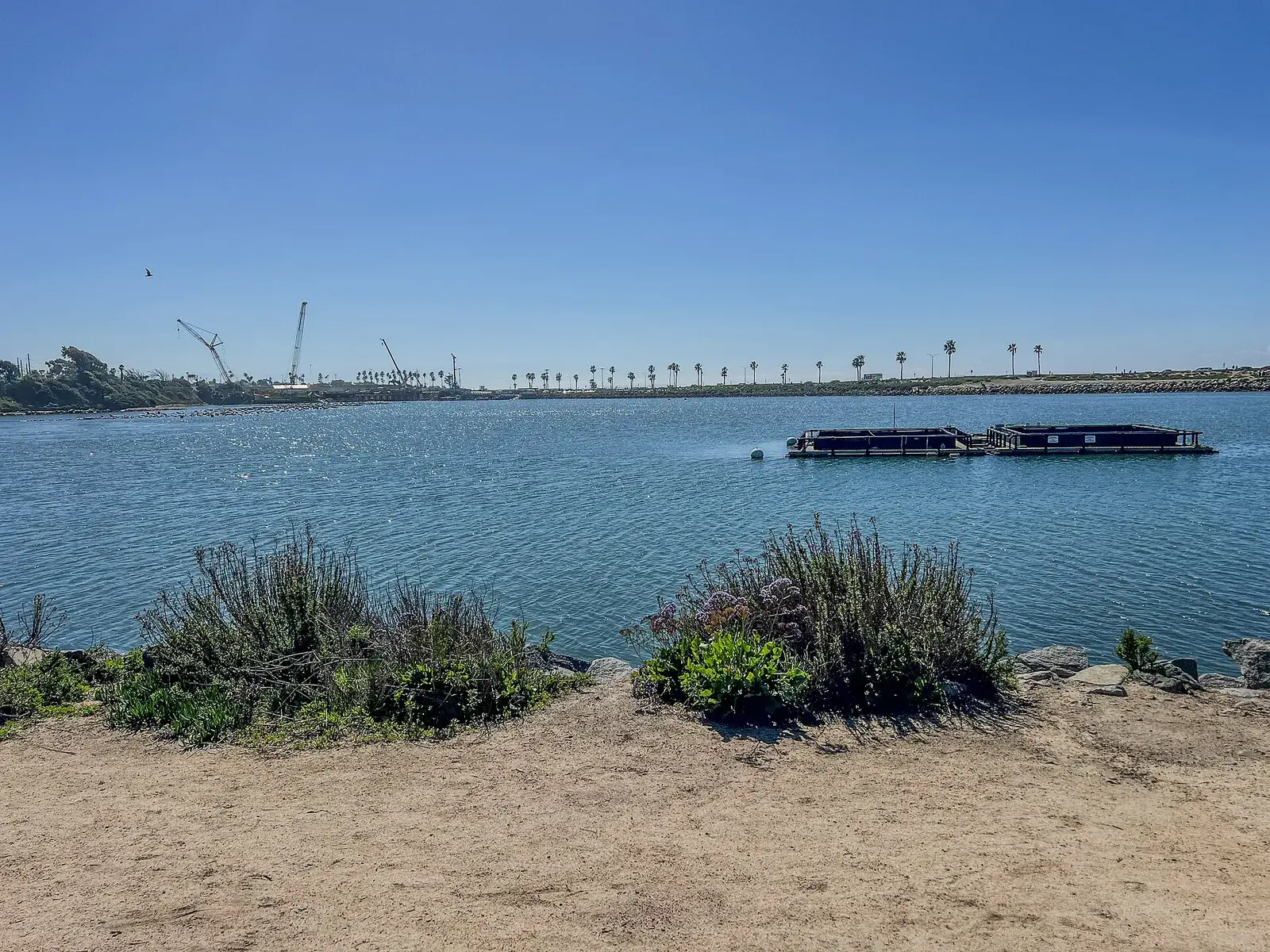 Calm water on Agua Hedionda Lagoon in Carlsbad