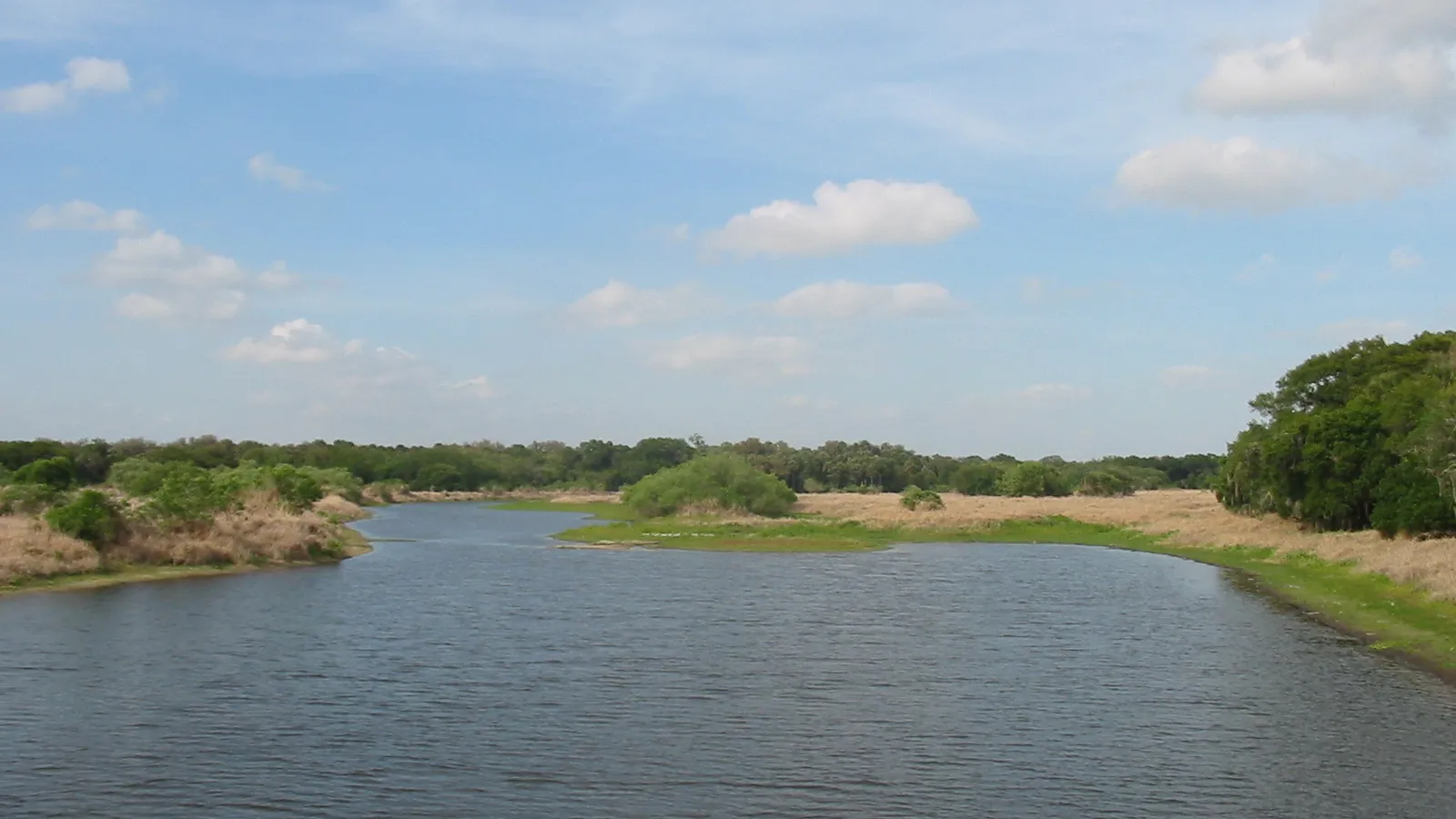 The Myakka River winding through open marsh and oak hammocks