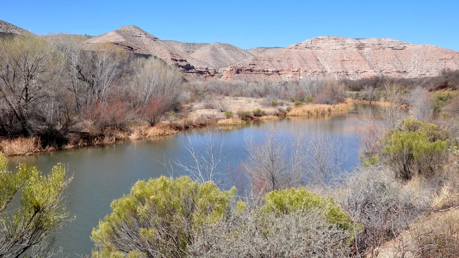 The Verde River upstream of Clarkdale, lined with willows below pale cliffs