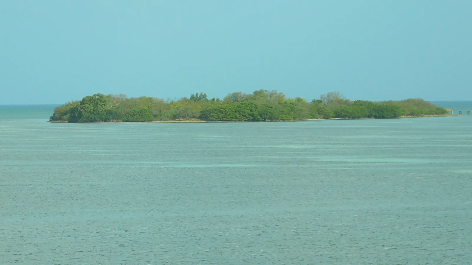 Indian Key, a small low island of trees, across calm green water off Islamorada