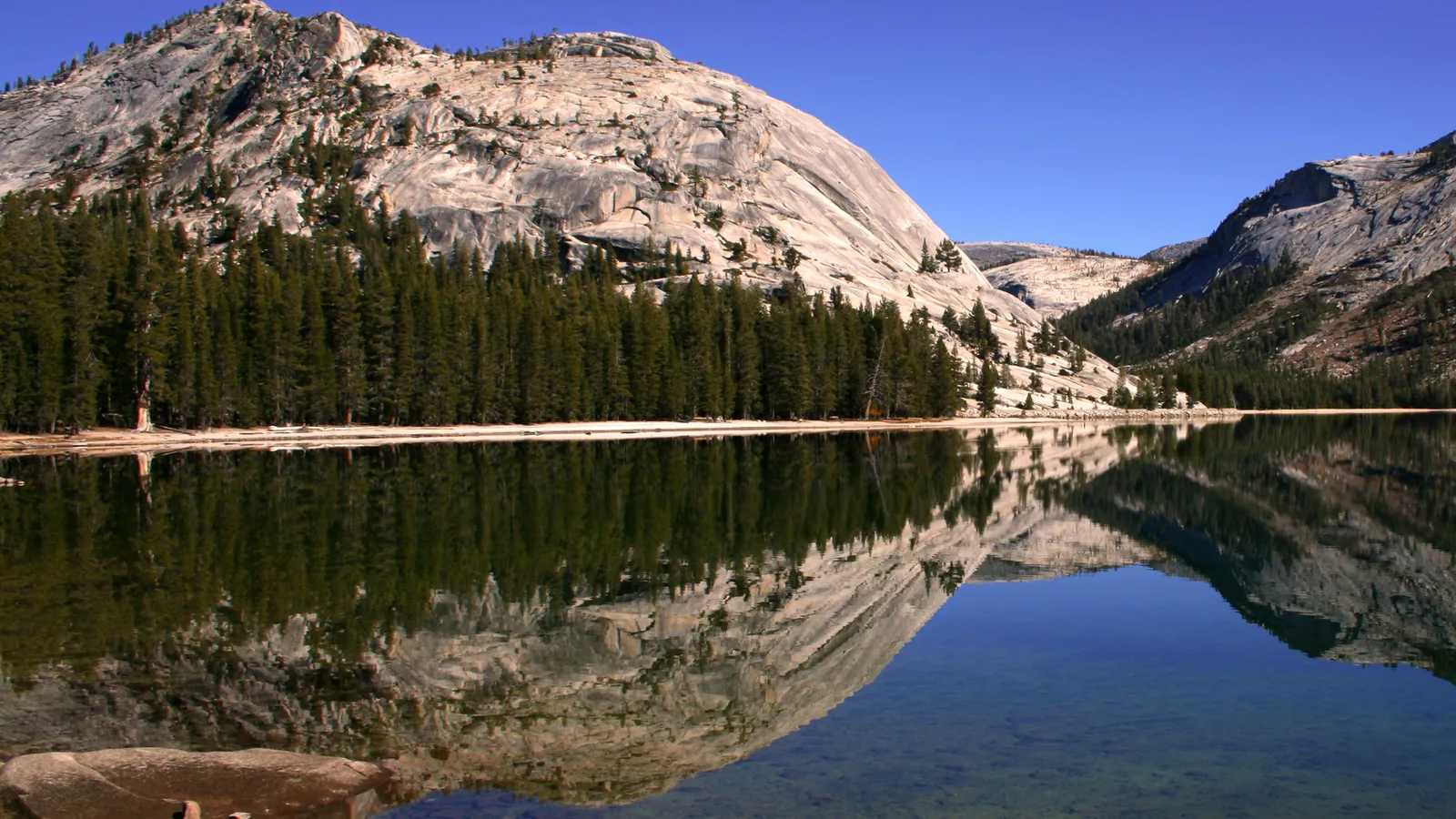 A granite dome and forest reflected in calm Tenaya Lake