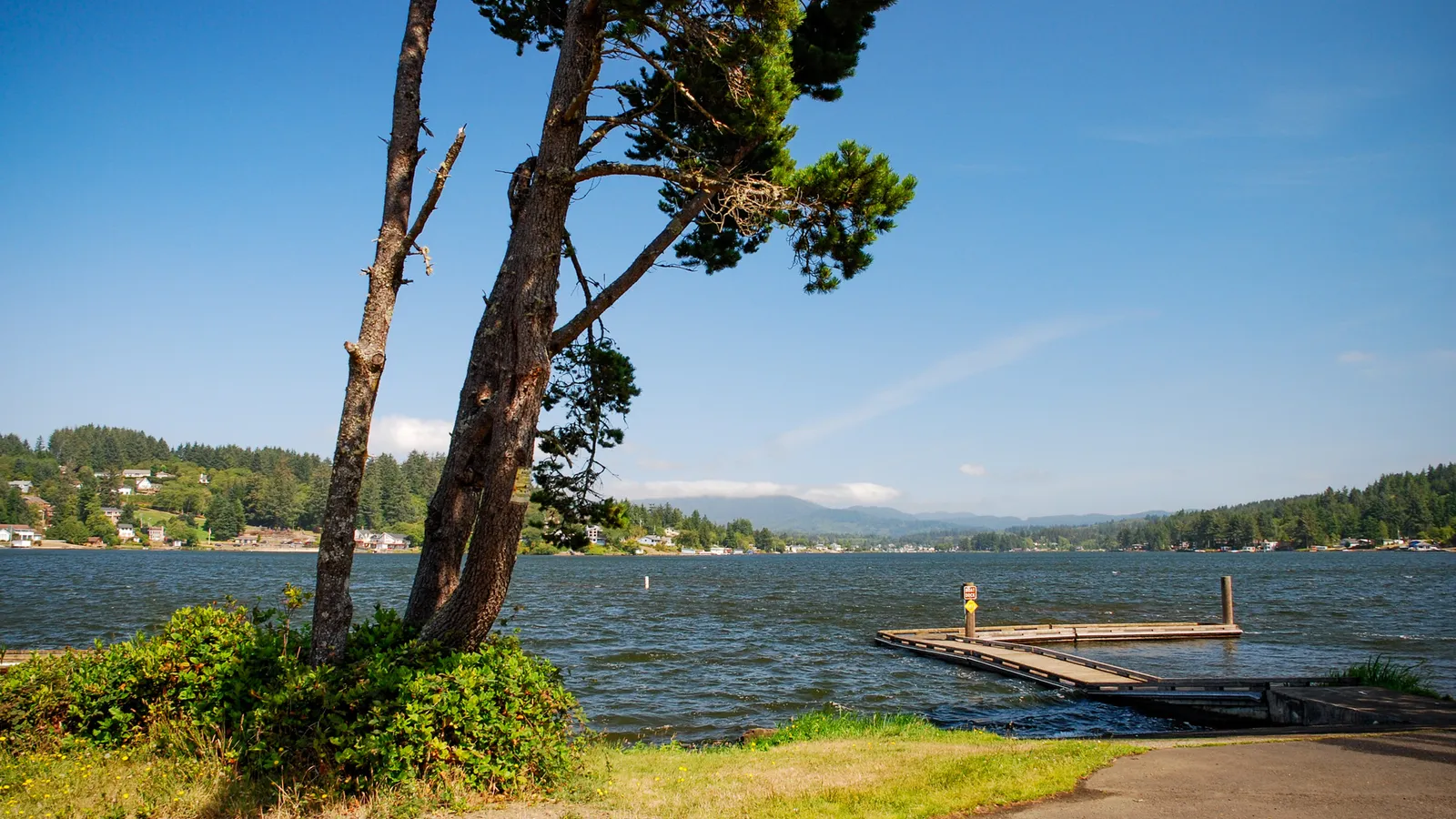 A small dock on Devils Lake in Lincoln City, framed by shore pines