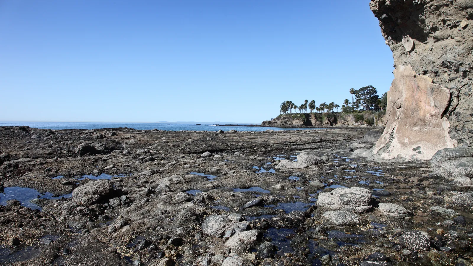 Rocks uncovered at low tide