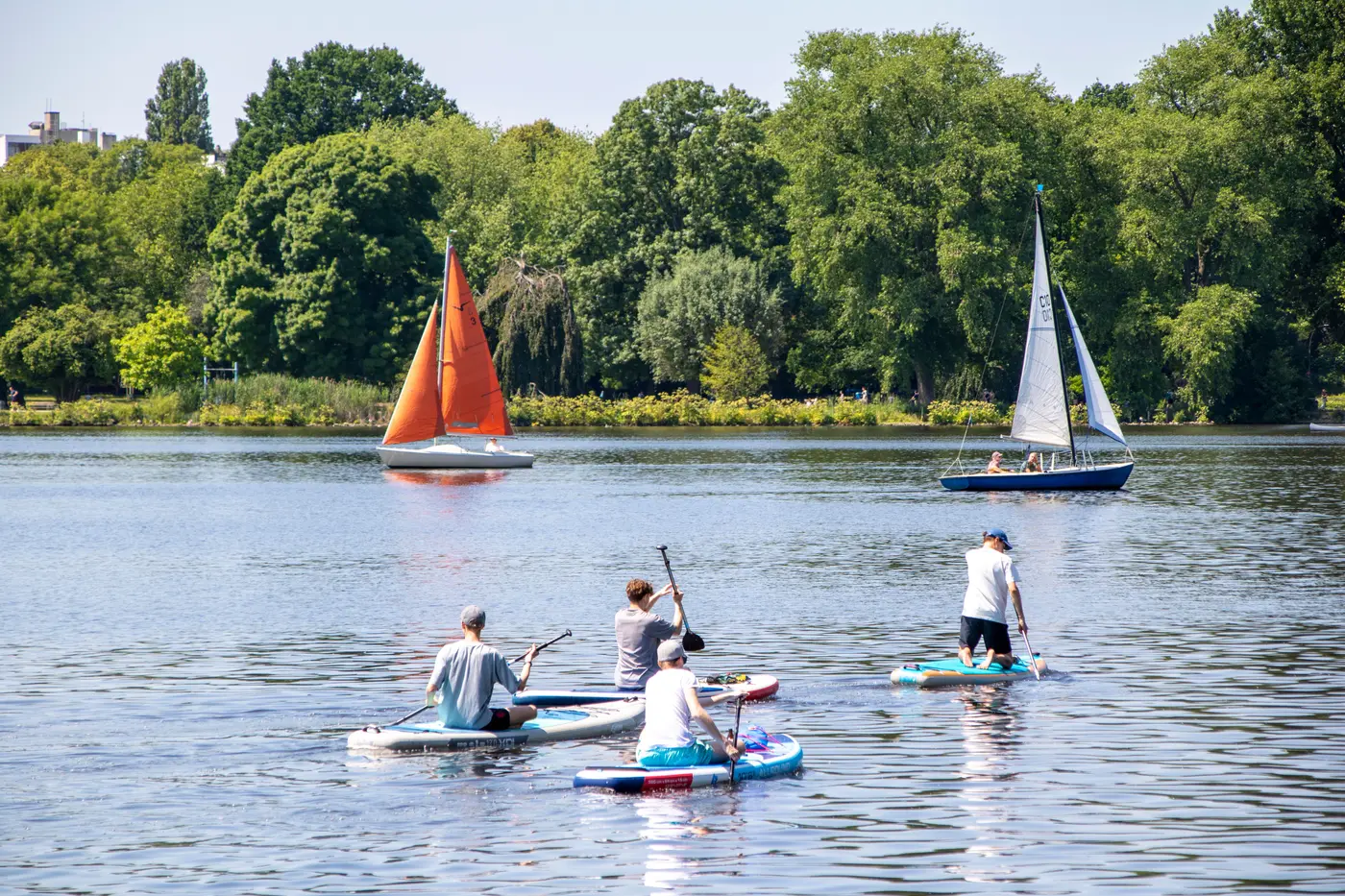 Several people paddling stand up paddle boards together on a lake, with two sailboats in the background