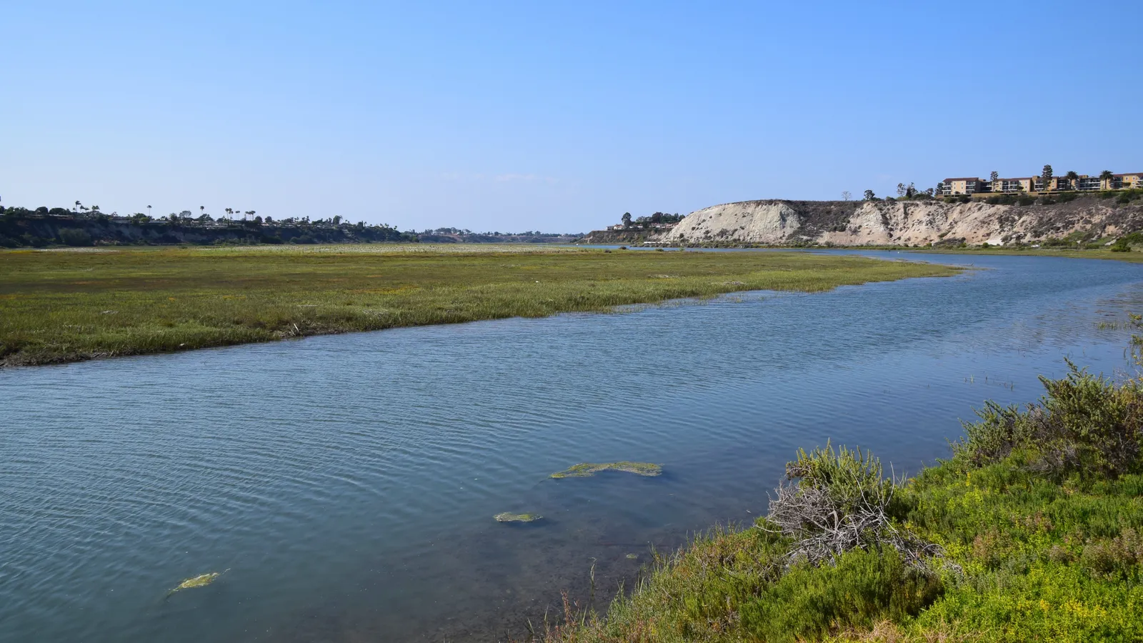 Newport Beach Back Bay